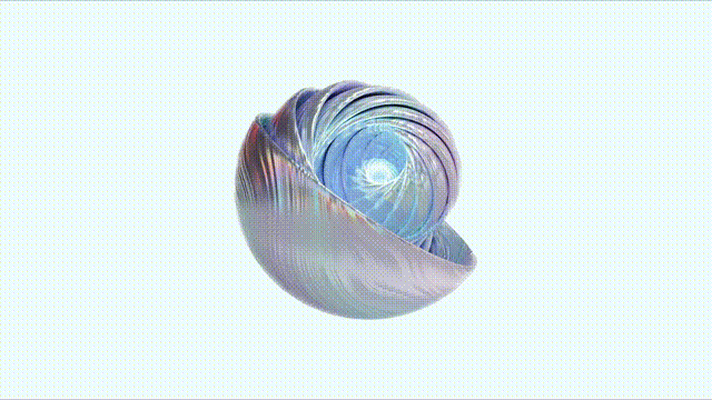The shell — the physical touchpoint carrying the spirit
